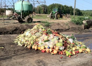 Countries’ Climate Plans (NDCs) Are Missing a Big Opportunity: Reducing Food Loss and Waste