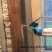 Closed Cell Spray Foam Insulation