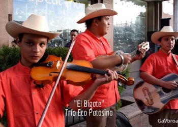 Trío Eco Potosino – El Bigote y La Burra Orejona