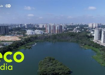 Eco India: Bengaluru is witnessing a transformation, one lake at a time