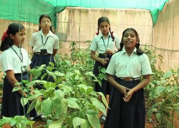 Conversion of school campus into an Environment Friendly Zone: Kendriya Vidyalaya IISc B'lore
