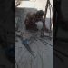 AmarRath/environment friendly/part 2/04072019