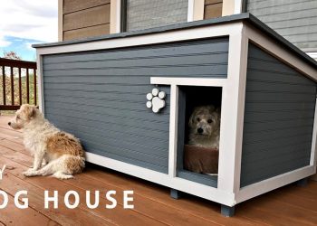 DIY Insulated Dog House Build