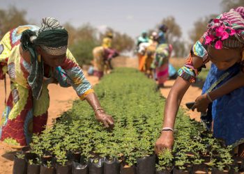 Tuesday’s Daily Brief: Development forum focuses on inclusion; monsoons pummel Asia; young children at greater Ebola risk; small islands fight hunger, obesity; Yemen ceasefire for Red Sea port