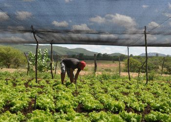 Governments at UN forum on development urged to close spending gaps, honour aid commitments