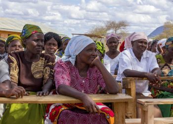 ‘Stay together and step up’ action to meet Global Goals, ECOSOC President tells development forum