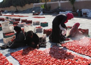 World ‘off track’ to meet most Sustainable Development Goals on hunger, food security and nutrition