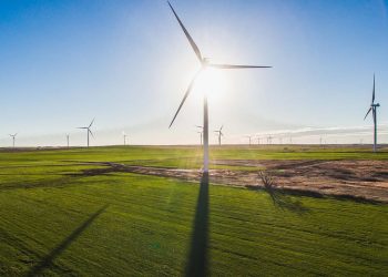 The role of retail in renewables