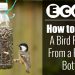 Eco How: How to make a Bird Feeder from a Plastic Bottle