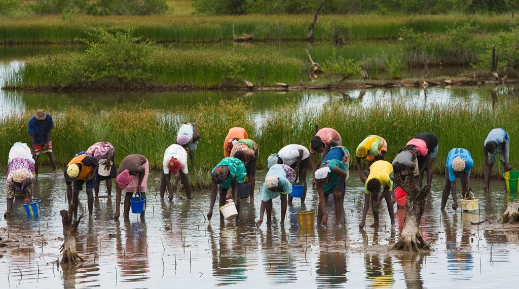 Why Sustainable Forestry Is a Good Investment