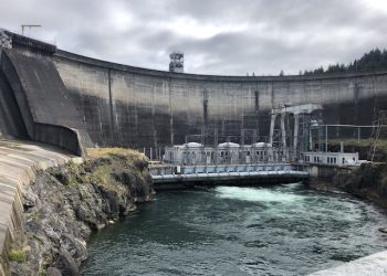 The Lewis River Merwin Dam: harvest, habitat, hatcheries and hydro