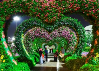 The Environmental Benefits of Gardening