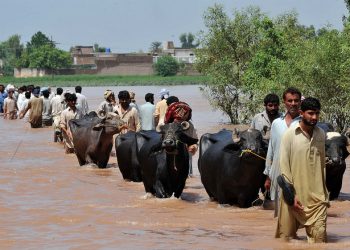 Climate Action Will Shape People’s Lives. They Should Have a Chance to Shape Climate Action