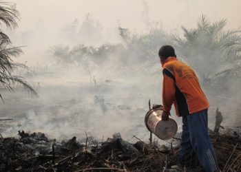 Will the Start of Forest Fires Season Hamper Indonesia’s Progress in Reducing Deforestation?