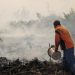 Will the Start of Forest Fires Season Hamper Indonesia’s Progress in Reducing Deforestation?