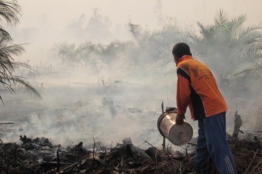 Will the Start of Forest Fires Season Hamper Indonesia’s Progress in Reducing Deforestation?