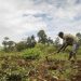 Help African farmers cope with climate change threats, UN food agency urges