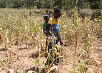 UN boosts humanitarian appeal to help tackle Zimbabwe’s ‘worst-ever’ hunger crisis