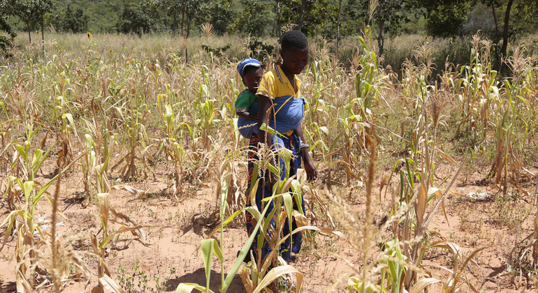 UN boosts humanitarian appeal to help tackle Zimbabwe’s ‘worst-ever’ hunger crisis