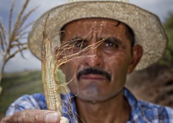 Thursday’s Daily Brief: Climate crisis and food risks, fresh violence threat for millions of Syrians, calls for calm in Kashmir