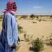 World food security increasingly at risk due to ‘unprecedented’ climate change impact, new UN report warns