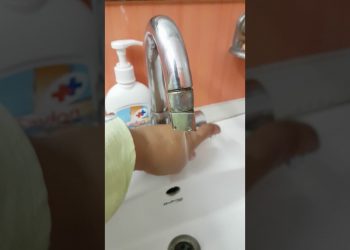 One little step for Environment friendly Life