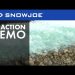 MELT – Snow Joe Premium Environmentally-Friendly Blend Ice Melter – Live Demo