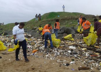 FROM THE FIELD: ‘Eco-warriors’ fight climate change in South Africa