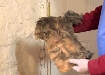 Spray Foam for Band Sill Insulation