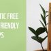 ♻️ 8 Plastic Free Eco-Friendly Swaps | WWF-Australia
