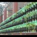 The Green Wall – Educational Vertical Garden Bottle System Project