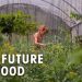 Organic Sustainable Farming is the Future of Agriculture | The Future of Food