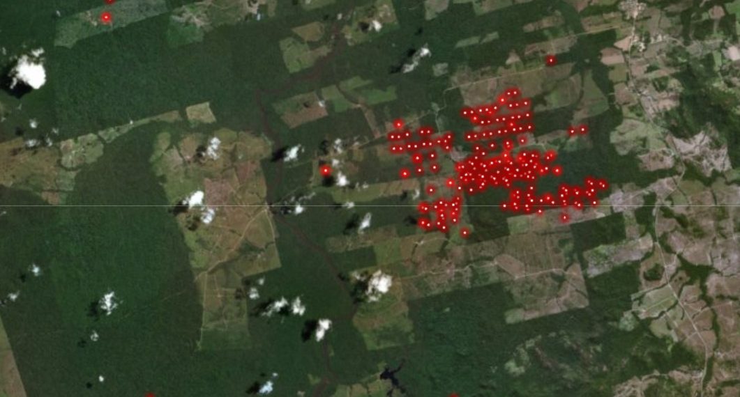 What Can Global Forest Watch Tell Us About the Fires in Brazil?
