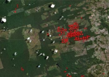 What Can Global Forest Watch Tell Us About the Fires in Brazil?