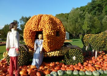 A modern Cinderella story: California’s record on wholesale distributed generation leaves much room for improvement