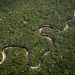 Forests in the IPCC Special Report on Land Use: 7 Things to Know