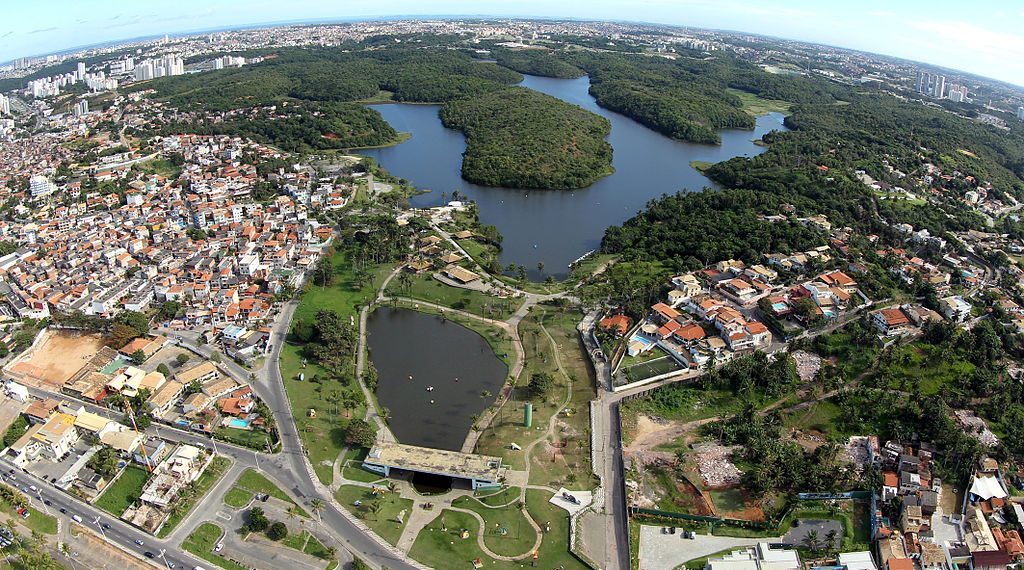 A Tale of Two Cities in Brazil (and the Forest that Connects Them)