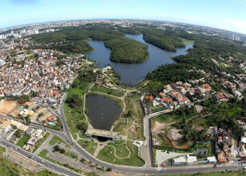 A Tale of Two Cities in Brazil (and the Forest that Connects Them)