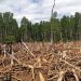 7 Things to Know About the IPCC’s Special Report on Land and Climate