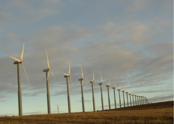 IEA, EDF unit to build 300 MW wind farm in Nebraska