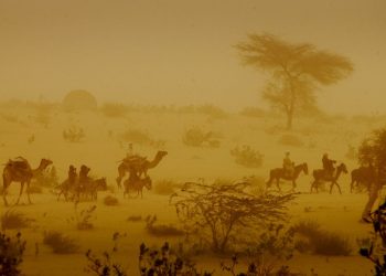 Migration and the climate crisis: the UN’s search for solutions