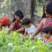 The IPCC Calls for Securing Community Land Rights to Fight Climate Change