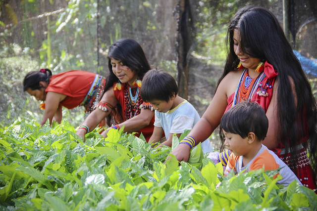 The IPCC Calls for Securing Community Land Rights to Fight Climate Change