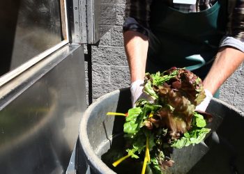 Is the World on Track to Cut Food Loss and Waste in Half by 2030?