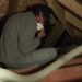 Sealing and Insulating a Cathedral Ceiling and Attic with Foam and Blown Cellulose