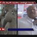 Environment Lovers Urges Citizens To Celebrate Eco-Friendly Ganesh Utsav | ABN Telugu