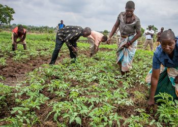 UN climate summit aims to speed up transition to cleaner, greener future