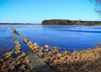 Nature ‘one of most effective ways’ of combatting climate change