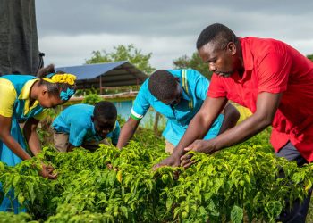 Island nations on climate crisis frontline ‘not sitting idly by’
