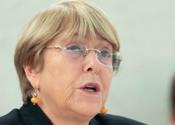 Human Rights Briefing: Updates on Egypt, Zimbabwe, Venezuela and Saudi Arabia